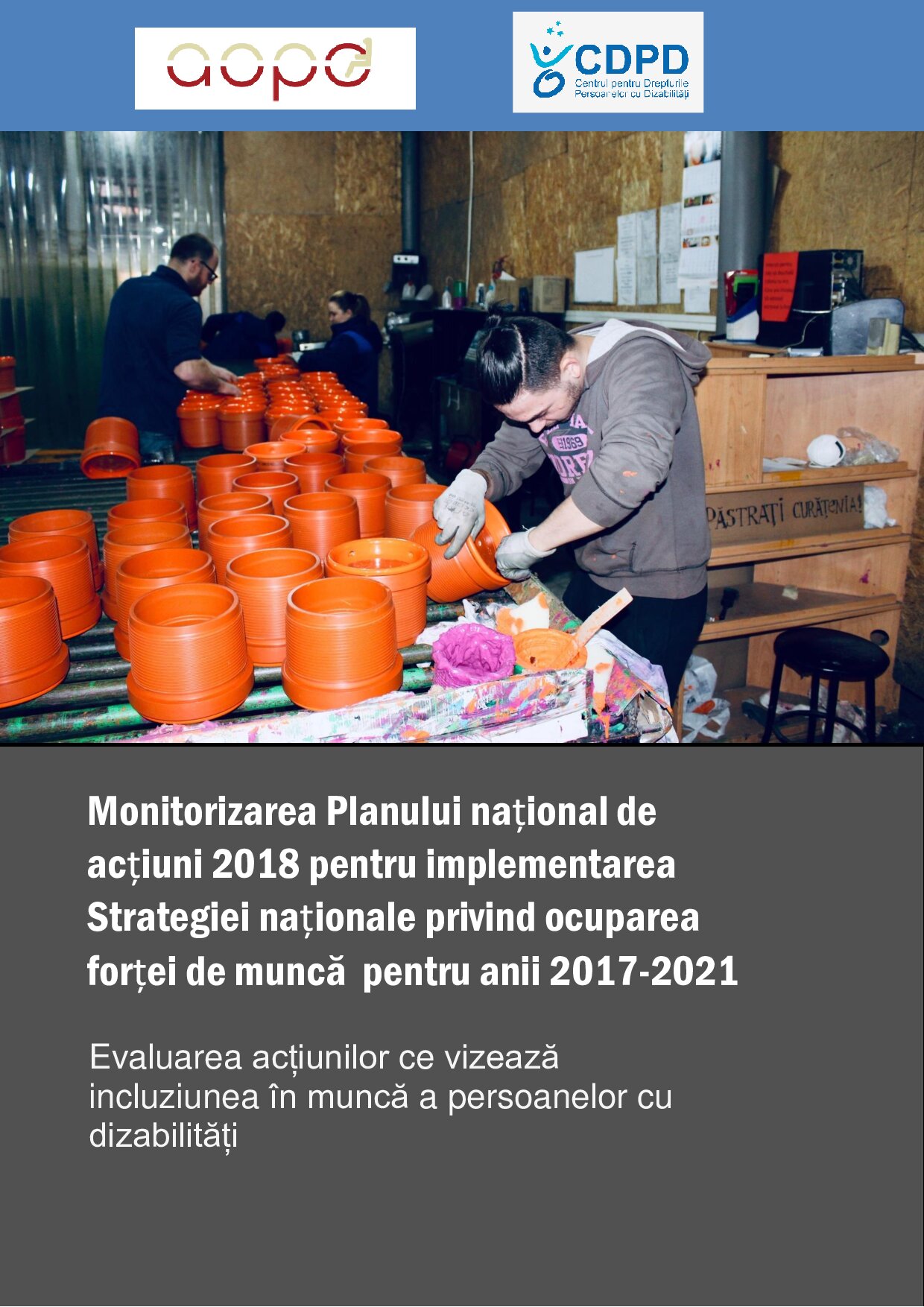 Monitorizarea Planului național de acțiuni 2018 pentru implementarea Strategiei naționale privind ocuparea forței de muncă pentru anii 2017-2021